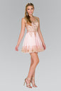 Tulle Short Dress Accented with Gold Lace