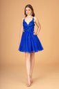 Mesh Babydoll Short Dress with 3-D Appliques and Corset Back