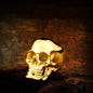 Soul Leader Stainless Steel Skull Ring