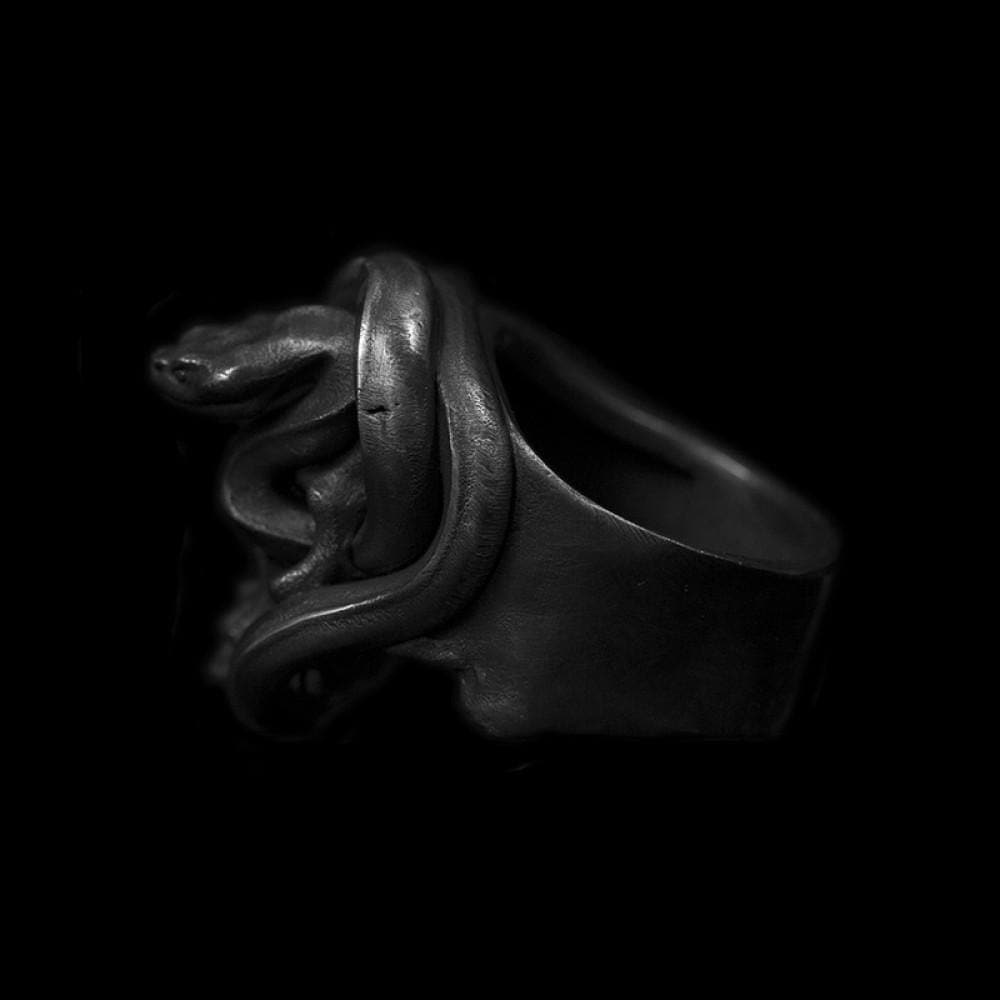 Snake Winding Stainless Steel Mens Skull Ring