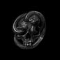 Snake Winding Stainless Steel Mens Skull Ring