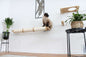 Horizontal Scratching Post for Cats