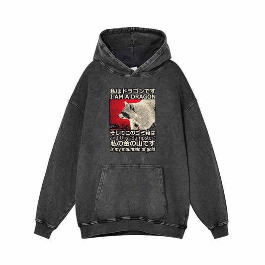 I Am A Dragon Vintage Washed Hoodie
