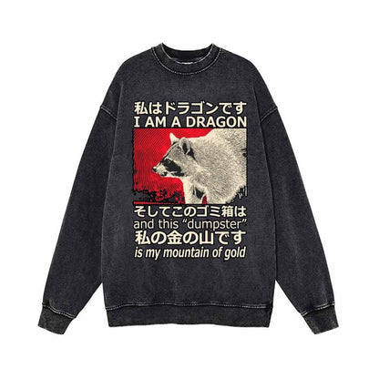 I Am A Dragon Vintage Washed Sweatshirt