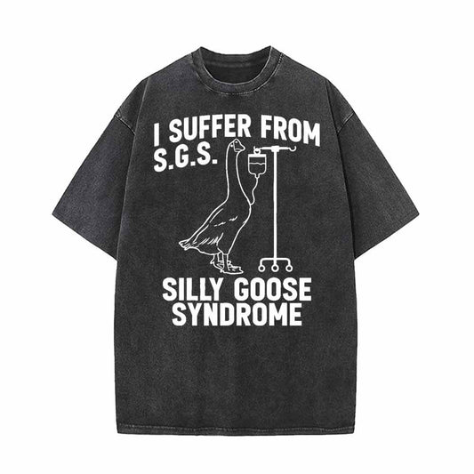I Suffer From Silly Goose Syndrome Vintage Washed T-shirt