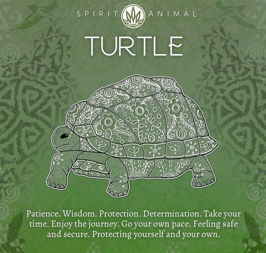 Friendly Turtle Earrings