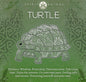 Friendly Turtle Earrings
