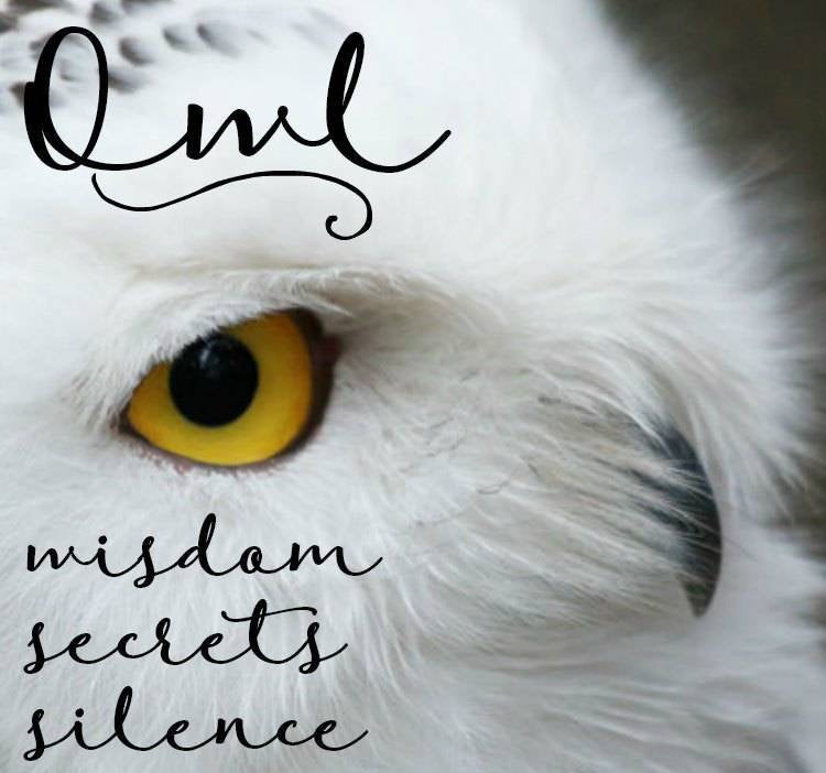Syra Owl Necklace