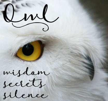 Celtic Midnight Owl Necklace