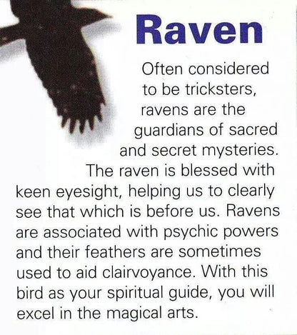 Fiach Raven Bracelet