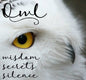 Halloway Marcasite Owl Necklace