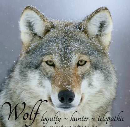 Howling Wolf Earrings