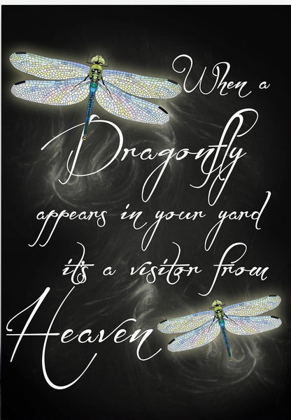 Damsel Dragonfly Marcasite Brooch