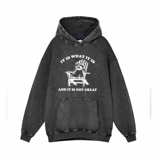 It Is What It Is Raccoon Print Vintage Washed Hoodie