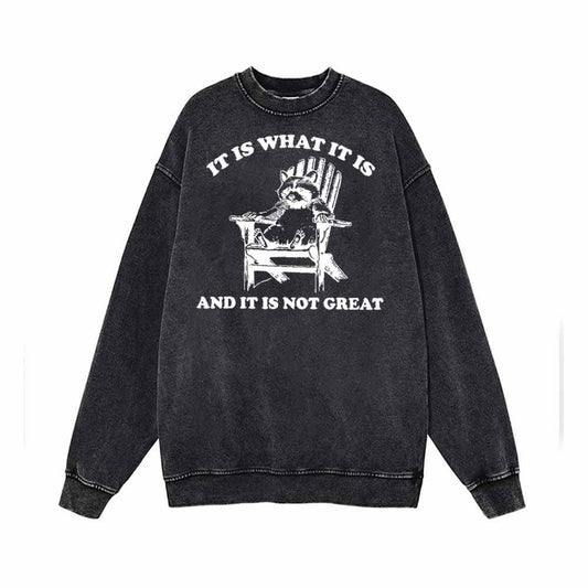 It Is What It Is Raccoon Print Vintage Washed Sweatshirt