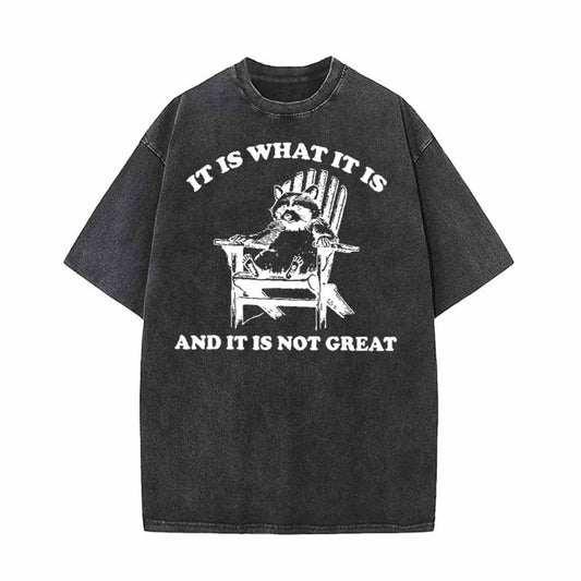 It Is What It Is Raccoon Print Vintage Washed T-shirt