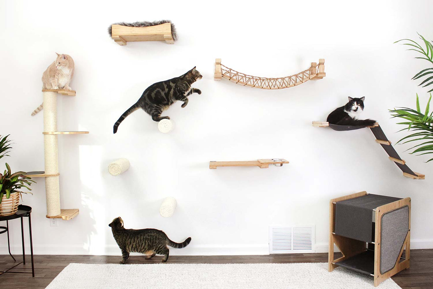 Cat Wall Bridge and Shelf Set