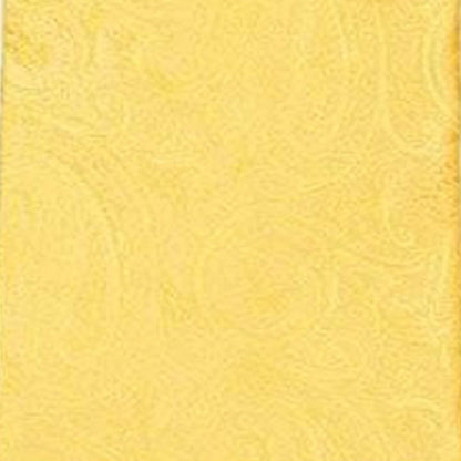 Vittorio Farina Men's Paisley Design Necktie & Pocket Square