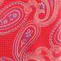 Vittorio Farina Men's Paisley Design Necktie & Pocket Square