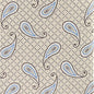 Vittorio Farina Men's Paisley Design Necktie & Pocket Square