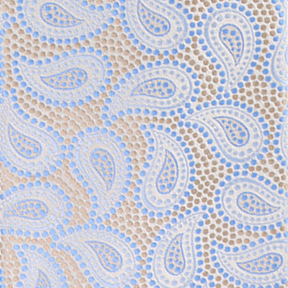 Vittorio Farina Men's Paisley Design Necktie & Pocket Square