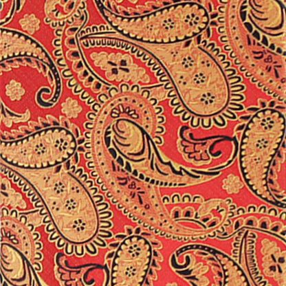 Vittorio Farina Men's Paisley Design Necktie & Pocket Square