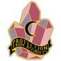 Protection From A--holes Sticker