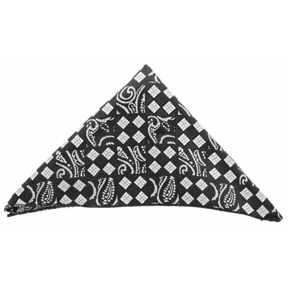 Vittorio Farina Men's Paisley Design Microfiber Pocket Square