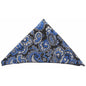 Vittorio Farina Men's Paisley Design Microfiber Pocket Square