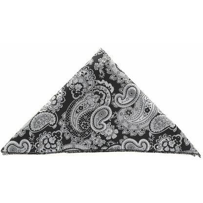 Vittorio Farina Men's Paisley Design Microfiber Pocket Square