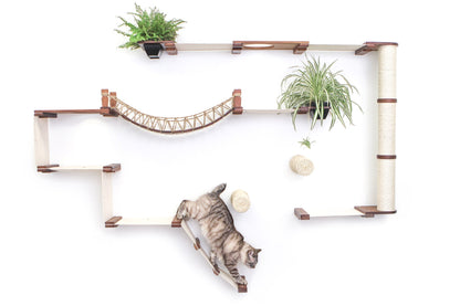 The Juggernaut - Indoor Cat Playground for Wall
