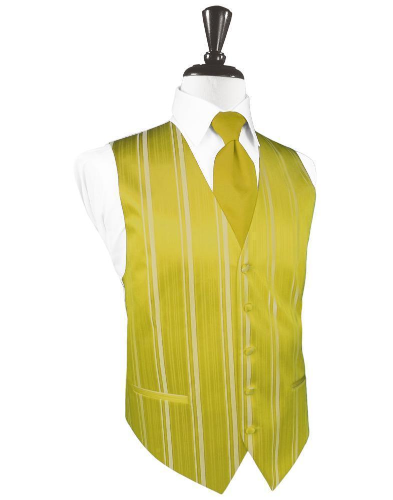 Striped Satin Tuxedo Vest 2