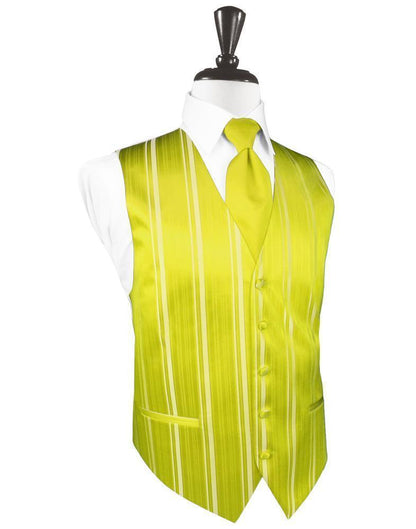 Striped Satin Tuxedo Vest 3