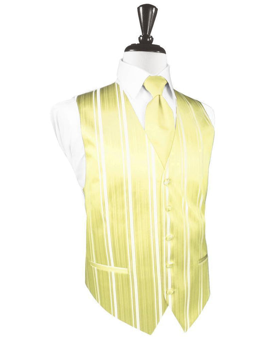 Striped Satin Tuxedo Vest 5
