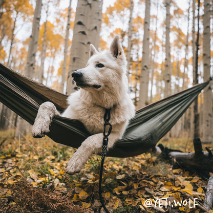 Slip Dog Collar – Small Norte | Adjustable Climbing Rope | Handmade by Tuenne
