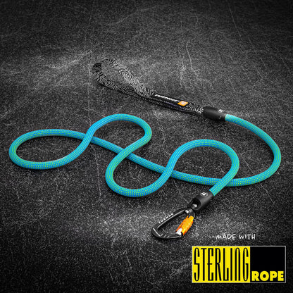 Ion Blue Dry 9.4mm Dog Leash
