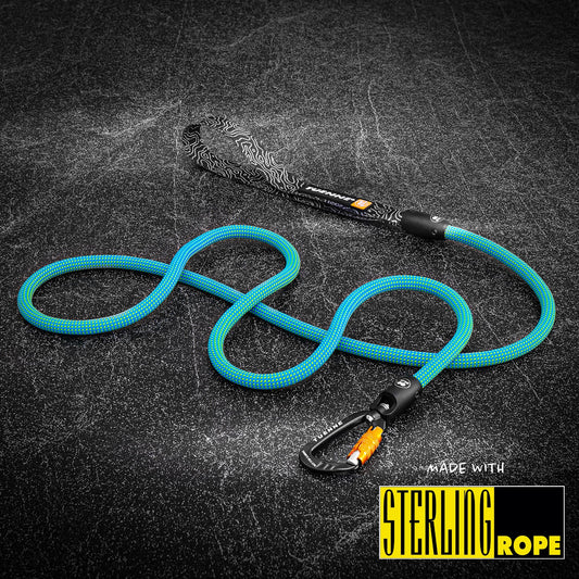 Ion Blue Dry 9.4mm Dog Leash