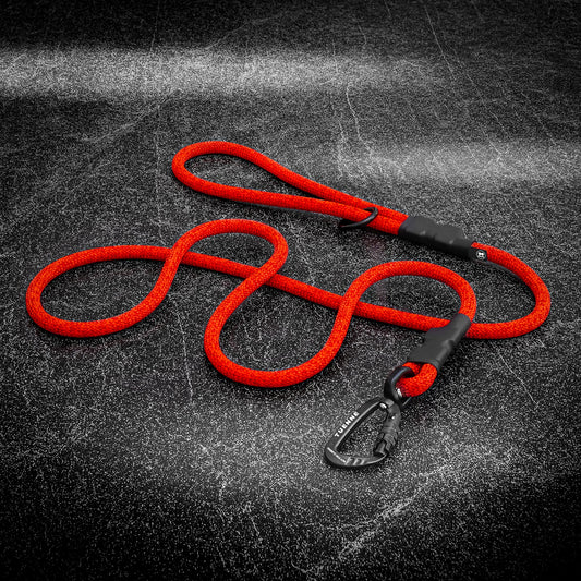Customizable Norte Dog Leash