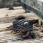 Vintage Feather Eye Stainless Steel Ring