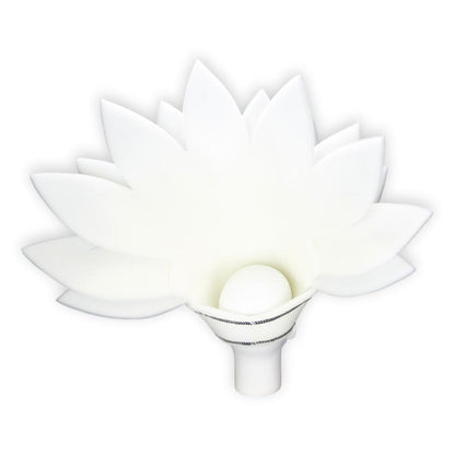 White Feathers Crown